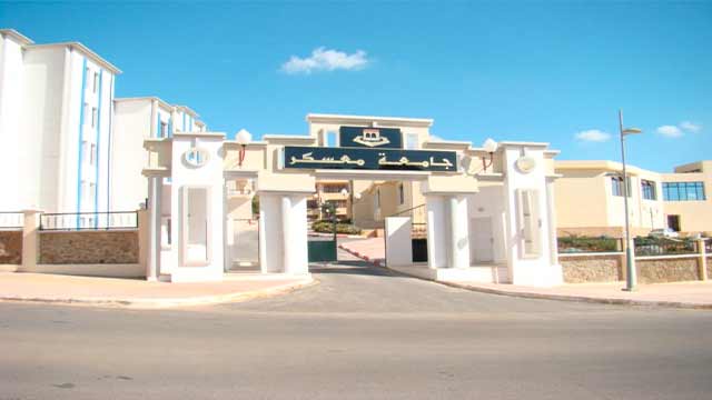 Enseignement supérieur